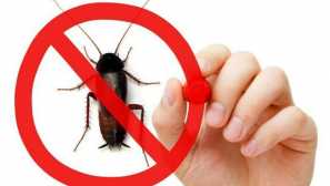 Forssayt: ефективен инструмент в борбата срещу хлебарки